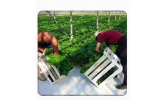 Plant-Raisers - Despatch Services