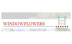Windowflowers Boxes Services