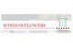 Windowflowers Ltd