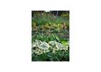 Landscape Cash & Carry Services