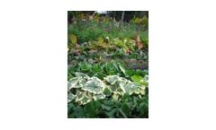 Landscape Cash & Carry Services