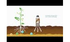 Cripthum - Humic Biostimulant - Video