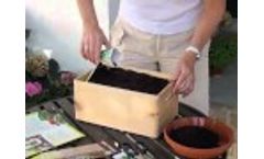 ASB Grünland BIO Indulgence box - ASB Greenworld Video