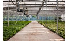 Batouwe - Model P9 - Shrubs