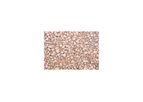 Decorative Aggregates