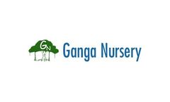 Landscaping Services