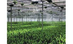 Fogging System