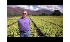 Everris Video