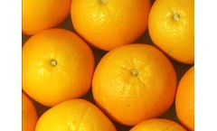 Certis AgriPhage Citrus Canker - Agricultural Bactericide Featuring Phage Technology