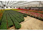 Certis BotaniGard - Model Maxx - Mycoinsecticide