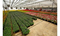 Certis BotaniGard - Model Maxx - Mycoinsecticide