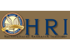 Industry Research Services