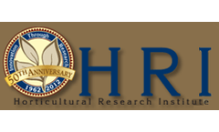 Industry Research Services