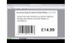 Labelling Video