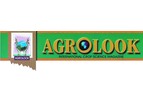 Advertisement Services