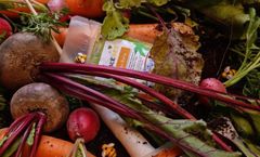 Dubai Farms Initiative Gains Momentum with Bumblebee Farm’s Commitment to Local Agriculture