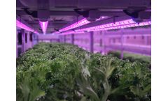 Cost-effective and safe water reuse empowers growers to achieve more with less