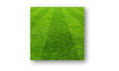 Principles of Turfgrass Management Certificate