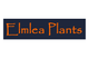 Elmlea Plants
