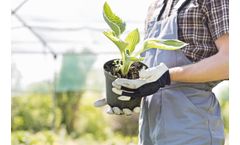 Vital Earth Resource - Root Activator