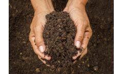 Vital - Bulk Soils