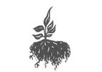 Vital - General Purpose Potting Soil