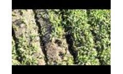 Greens Overseeder by AgriMeta Video