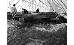 BRA - Recirculating aquaculture systems (RAS)