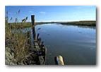 Ecosystem Restoration - Planning, Design and Construction Services