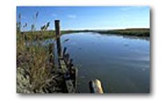 Ecosystem Restoration - Planning, Design and Construction Services