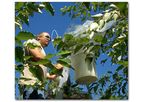 Weston - Phytoremediation Plants