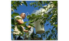 Weston - Phytoremediation Plants