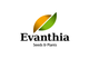 Evanthia bv