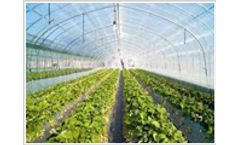 Nursery & Greenhouse Management Software