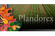 PLANDOREX