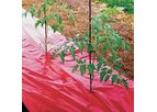 Red Tomato Mulch