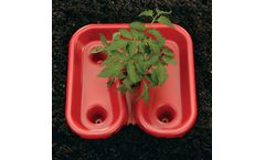 Red Tomato Trays