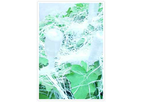 Operations - Pest and Disease Control Service