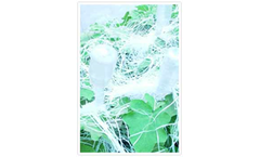 Operations - Pest and Disease Control Service