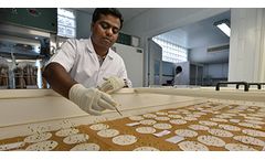 ISTA Seed Testing Services