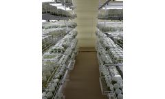 Tissue Culture Services