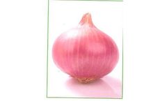 Onion Lalima Seeds