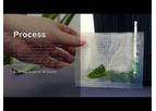 Agdia - ImmunoStrip for Tomato Brown Rugose Fruit Virus (ToBRFV) Detection