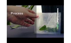 Agdia - ImmunoStrip for Tomato Brown Rugose Fruit Virus (ToBRFV) Detection