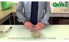 How to send your samples to Agdia testing service lab in USA? - Video