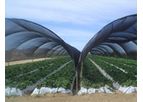 Shades & Greenhouse