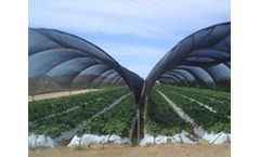 Shades & Greenhouse