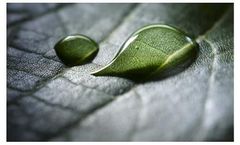 Working Together for Better Plant Health