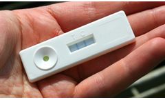 Phytophthora spp. Lateral Flow Test (Single / 50 Tests)