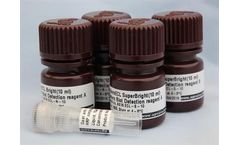 Agrisera Rubisco - Model 2 - Quantitation Kit (Western blot)